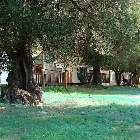 Agrivillaggio Valle Del Fico Pisciotta